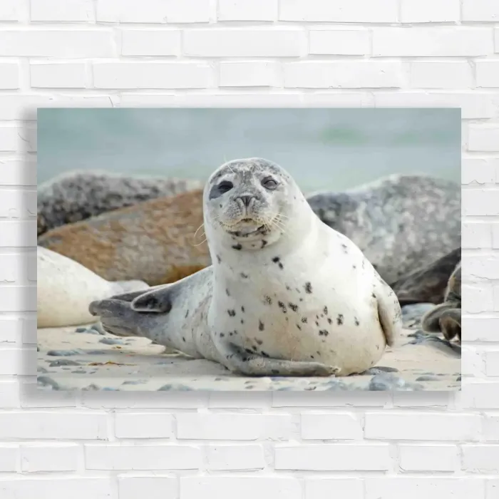 x=0.35;y=0.35;w=0.3;h=0.3