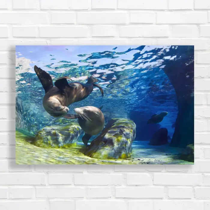 x=0.35;y=0.35;w=0.3;h=0.3