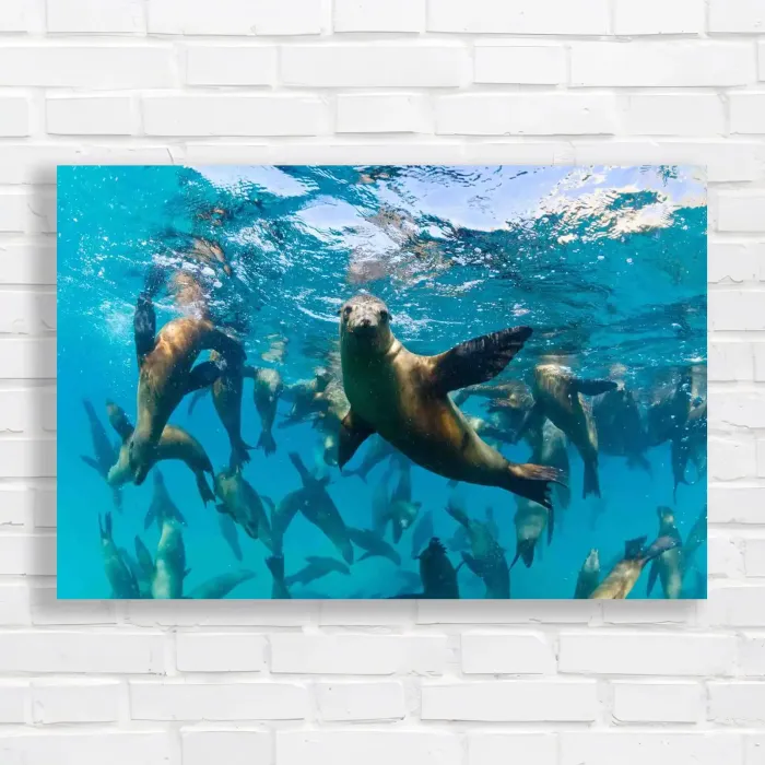 x=0.35;y=0.35;w=0.3;h=0.3