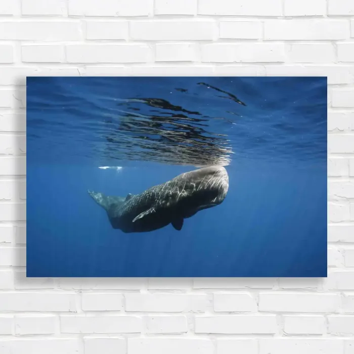 x=0.35;y=0.35;w=0.3;h=0.3