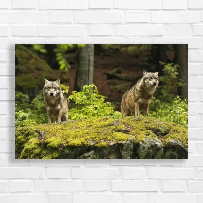 x=0.35;y=0.35;w=0.3;h=0.3