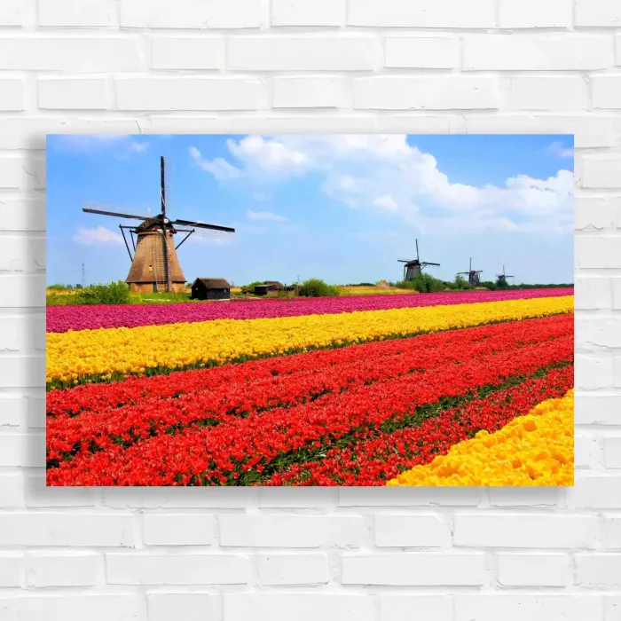 x=0.35;y=0.35;w=0.3;h=0.3