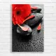 Vibrant Red Gerbera Zen Stones Canvas Print