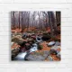 Autumn Forest Stream Serenity Canvas Print