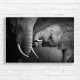 Majestic Elephants BW Close-up Canvas Print