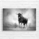 Majestic Wildebeest Black and White Canvas Print