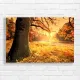 Golden Autumn Yosemite Landscape Canvas Print