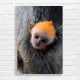 Adorable Baby Monkey Hug Canvas Print