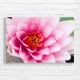 Pink Lotus Flower Bloom Canvas Print