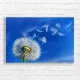 Dreamy Dandelion Seeds Floating Canvas Print