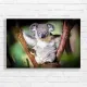 Adorable Koala on Tree Branch Canvas Print