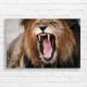 Roaring Lion King of the Jungle Canvas Print