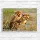 Adorable Lion Cubs Playful Duo Canvas Print