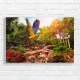 Vibrant Macaw Flight Canvas Print