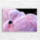 Serene Pink Flamingo Feather Detail Canvas Print