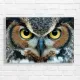Majestic Owl Eyes Wildlife Canvas Print