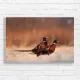 Majestic Pheasants in Golden Fields Canvas Print