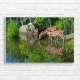 Serene Fawn Nature Scene Canvas Print
