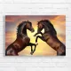 Majestic Rearing Horses Sunset Canvas Print