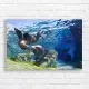 Graceful Sea Lions Underwater Canvas Print