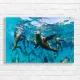 Underwater Sea Lions Galore Canvas Print
