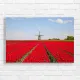 Red Tulip Field Windmill Canvas Print
