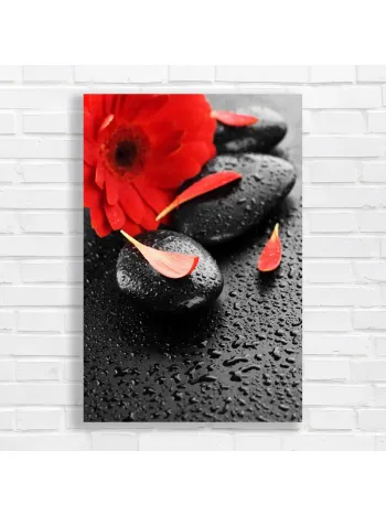 Vibrant Red Gerbera Zen Stones Canvas Print