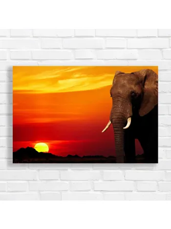 Majestic Elephant Sunset African Safari Canvas Print