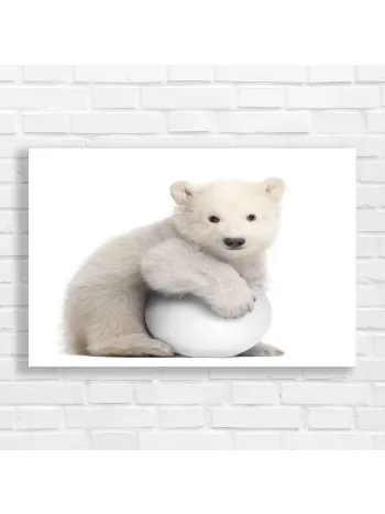 Adorable Polar Bear Cub with Ball Canvas Print