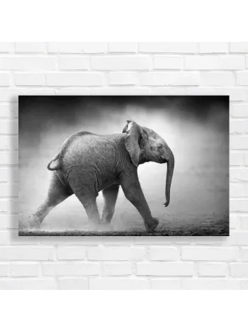 Majestic Baby Elephant Safari Black & White Canvas Print