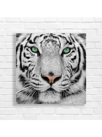 Majestic White Tiger Eyes Canvas Print