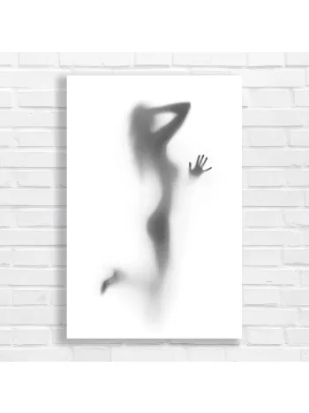 Elegant Silhouette Woman Art Canvas Print
