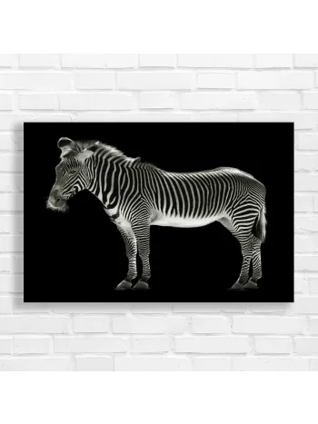 Striking Zebra Portrait Canvas Print