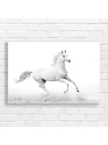 Majestic White Stallion Horse Galloping Canvas Print