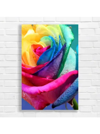 Vibrant Rainbow Rose Water Droplets Canvas Print