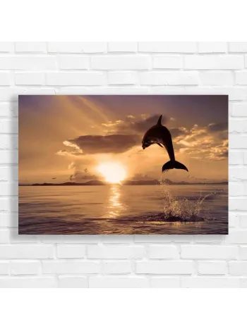 Leaping Dolphin Sunset Serenity Canvas Print