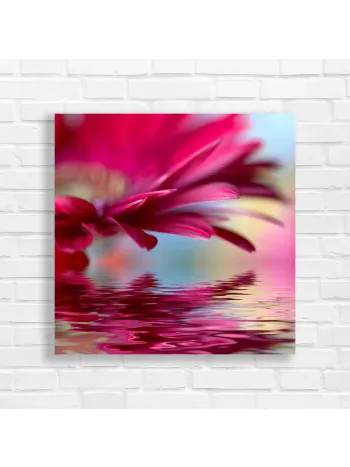 Vibrant Magenta Gerbera Daisy Water Reflection Canvas Print