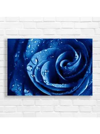 Deep Blue Rose with Dewdrops Canvas Print