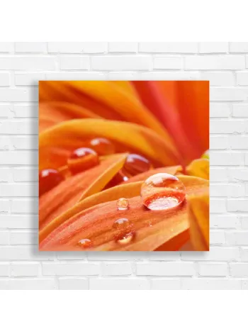 Vibrant Water Droplet Flower Canvas Print