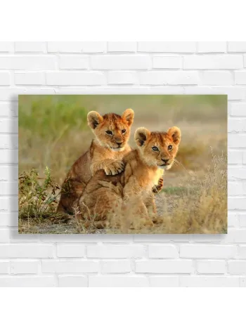 Adorable Lion Cubs Playful Duo Canvas Print
