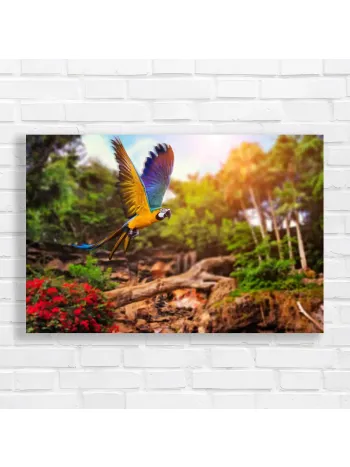 Vibrant Macaw Flight Canvas Print