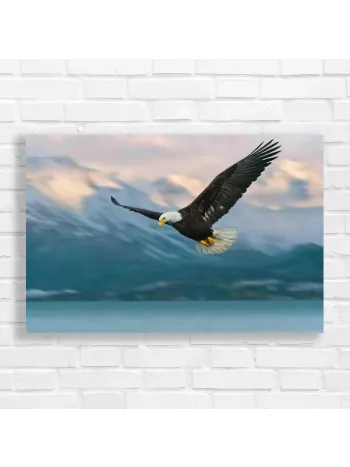 Majestic Eagle Soaring Over Mountains Canvas Print