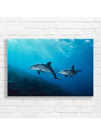 Ocean Dolphins Swimming Canvas Print