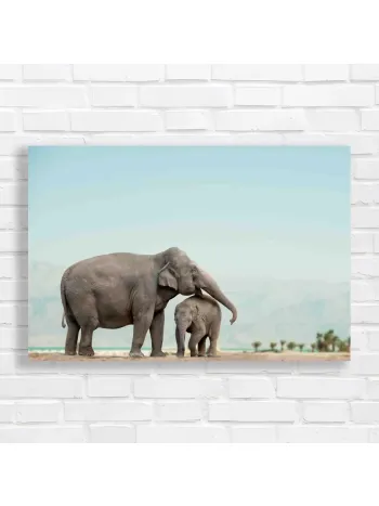 Gentle Giants Elephant Family Serenity Canvas Print