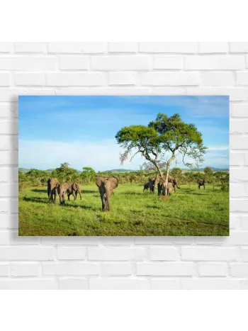 Majestic Elephants Savannah Wildlife Canvas Print