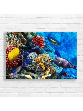 Vibrant Coral Reef & Tropical Fish Canvas Print