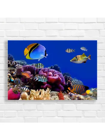 Vibrant Tropical Fish & Coral Reef Canvas Print