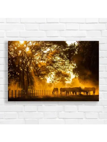 Golden Hour Horses Meadow Canvas Print
