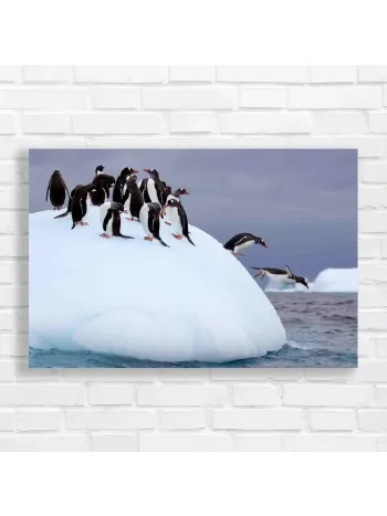 Penguins Jumping Arctic Adventure Canvas Print