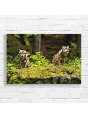 Majestic Wolves in Forest Glow Canvas Print